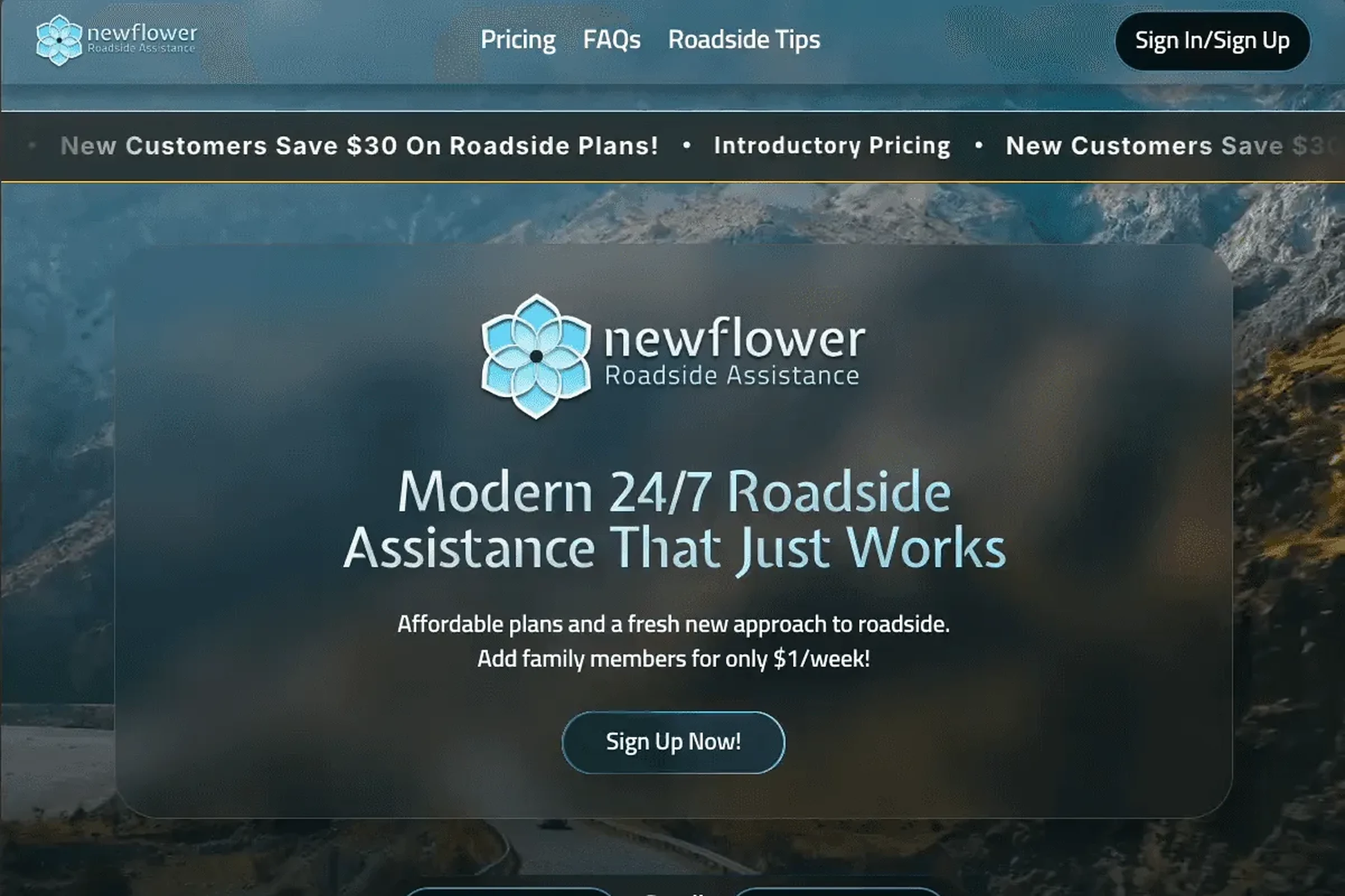 NewFlower Roadside website
